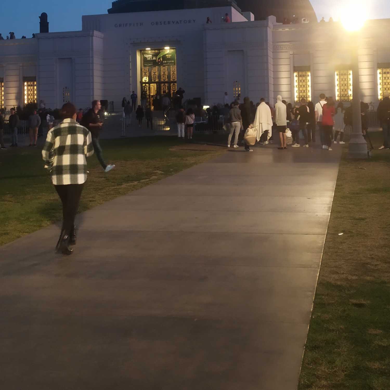 New Live From Mexico City