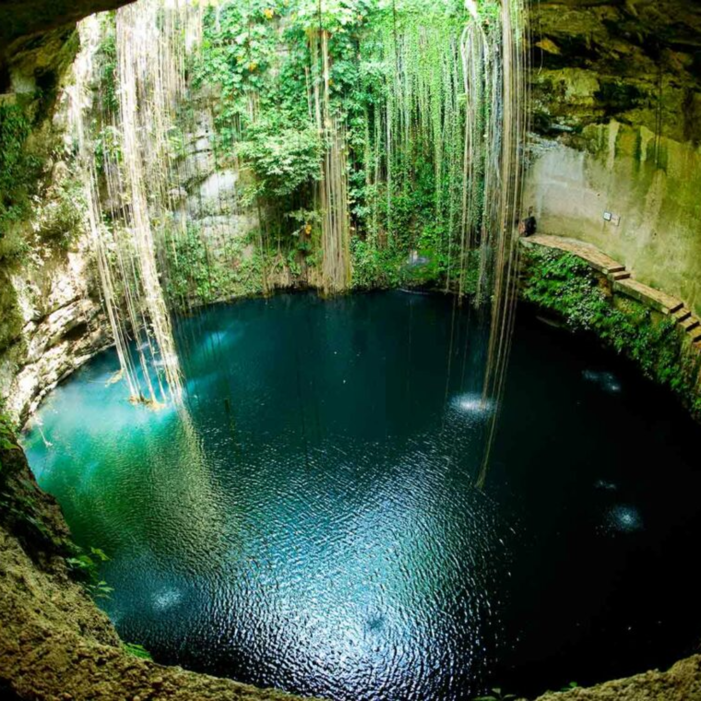 The Daily Mindset [RSSCOM]